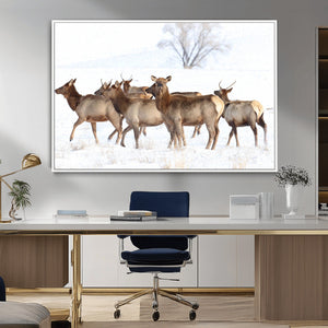 Winter Elk Scene Wall Art Canvas Print – Framed Wildlife