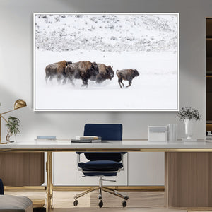 Bison Herd Decor Wall Art Canvas Print – Framed Snowy Bison