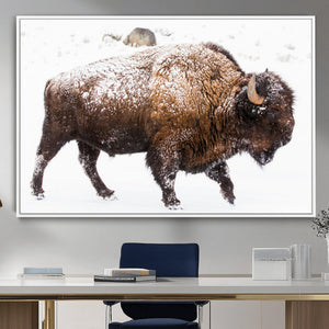 Snowy Buffalo Wall Art Canvas Print – Framed Wildlife