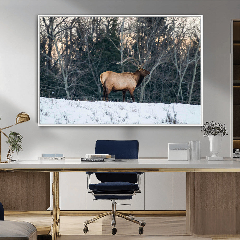 Wild Elk Wall Art Canvas Print – Framed Winter Wildlife
