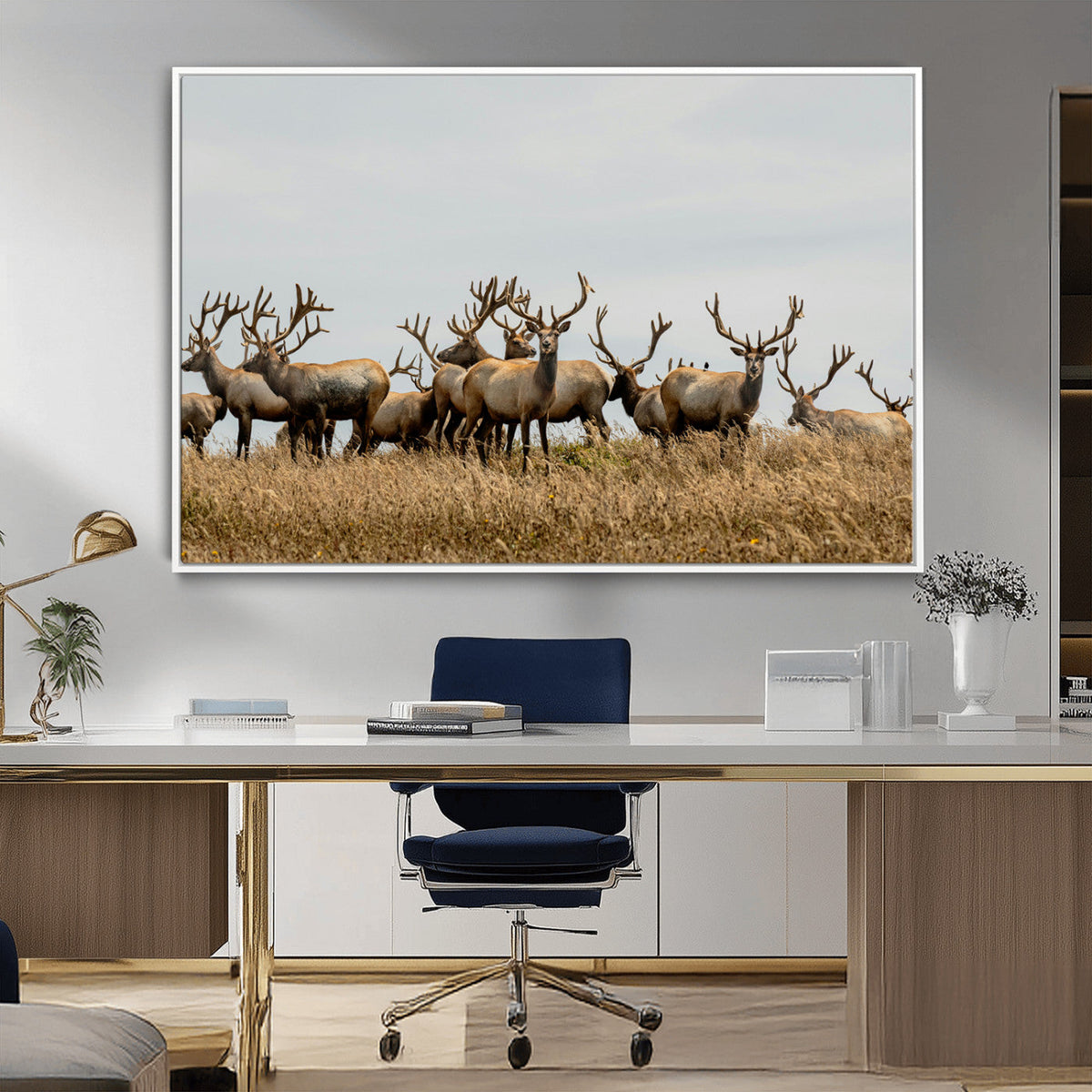 Elk Herd Wall Art Canvas Print – Framed Wildlife Photography