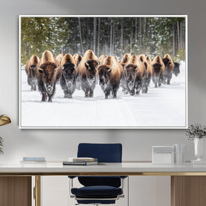 American Bison Herd Wall Art Canvas Print – Powerful Winter