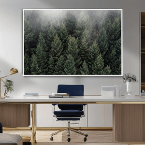 Dense Evergreen Forest Misty Morning Fog Pine Trees Woodland