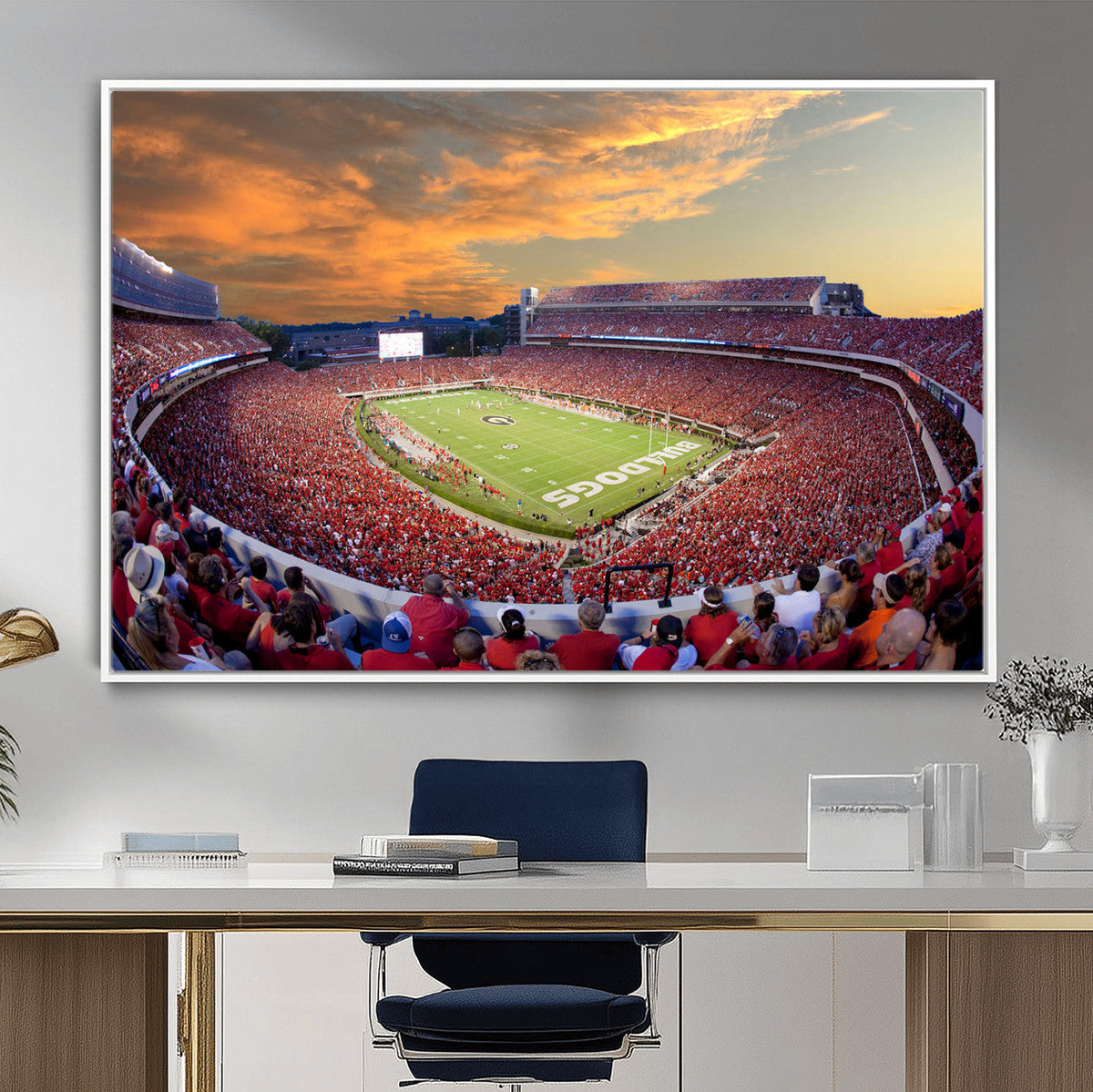 Dooley Stadium Wall Art, Sports Arena Canvas Print, Dooley