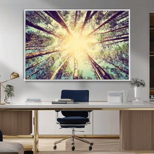 Tree and Sunshine Canvas Print