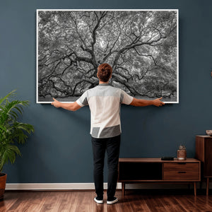 Majestic Angel Oak Tree Black and White Canvas Print – Multi