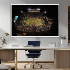 Wake Forest University Demon Deacons Canvas Printi, Football