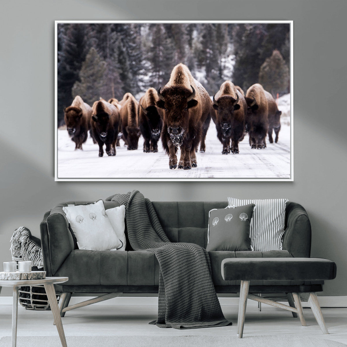 Bison Wall Art Canvas Print- Bison Herd Canvas Wall Art –