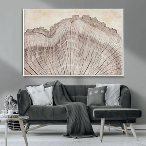 Tree Ring Wall Art Triptych, Rustic Wood Ring Canvas Print,