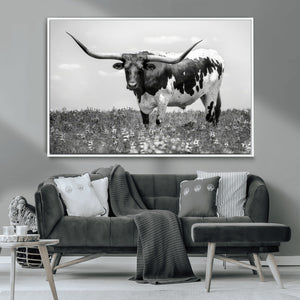 Texas Black White Highland Longhorn Cow Wall Art Canvas
