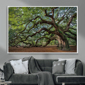 Historic Tree Wall Art – Framed Mossy Branch Canvas Artwork,