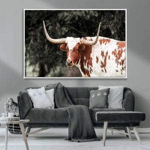 Texas Longhorn Wall Art Canvas Print – Framed Spotted Bull