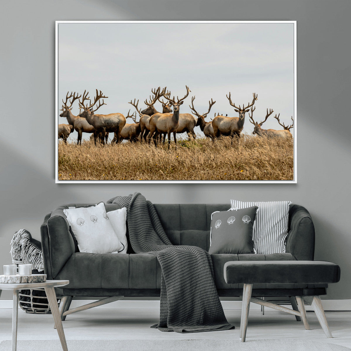 Elk Herd Wall Art Canvas Print – Framed Wildlife Photography