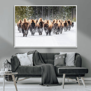 American Bison Herd Wall Art Canvas Print – Powerful Winter