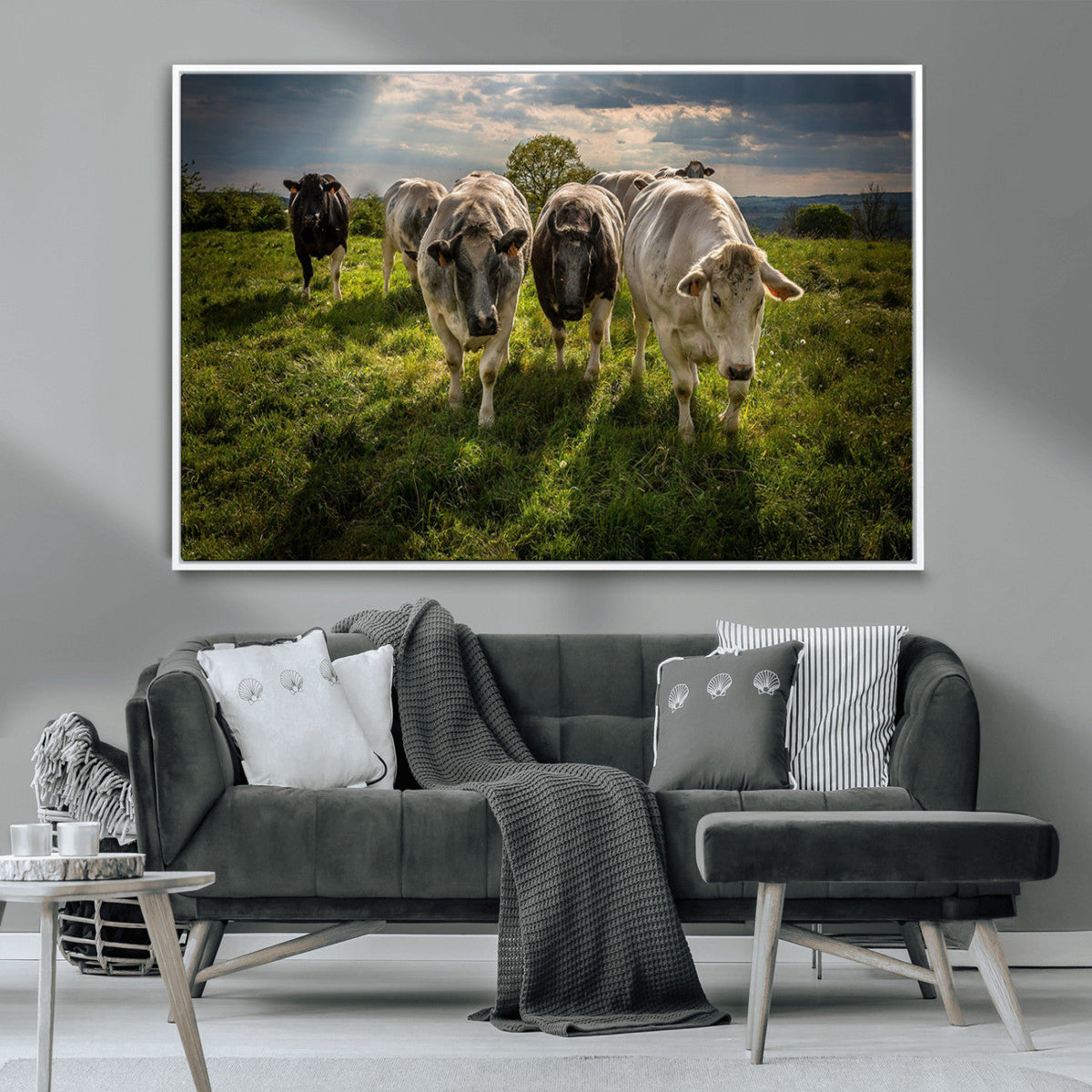 Grazing Cattle Herd Pasture Green Field Livestock Natural