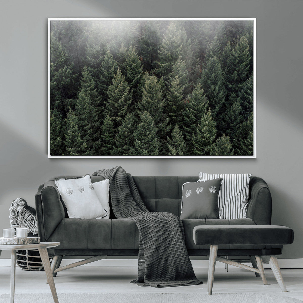 Dense Evergreen Forest Misty Morning Fog Pine Trees Woodland