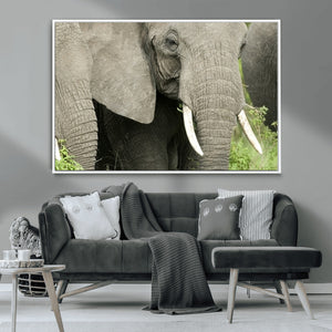 Wild Elephant Wall Art Canvas Print