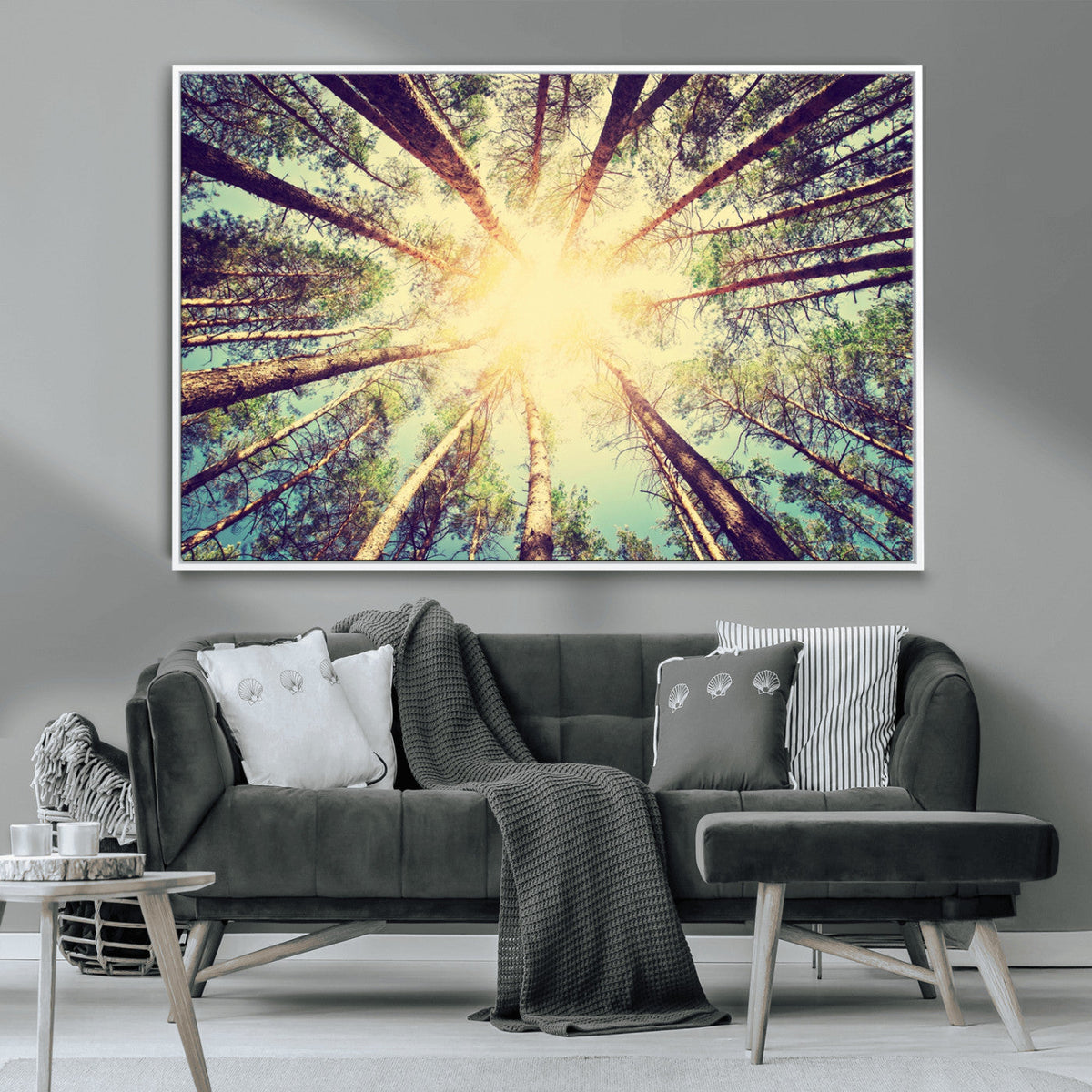 Tree and Sunshine Canvas Print