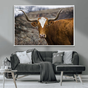 Texas Longhorn Canvas Wall Art - Longhorn Steer Canvas Wall