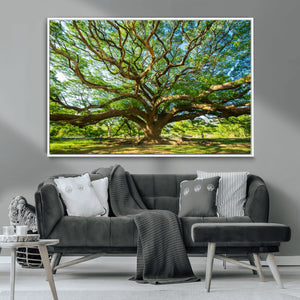 Majestic Oak Tree Wall Art – Serene Nature Canvas Print with