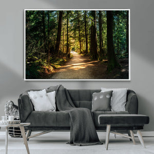Sunlit Forest Pathway Canvas Print | 3 Panel Large Nature