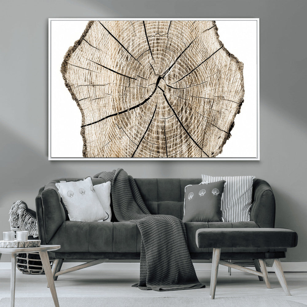 Abstract Wood Tree Ring Wall Art - Ready to Hang Minimalist
