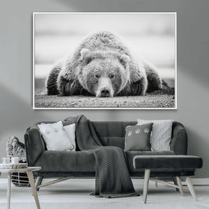 Resting Grizzly Bear Wall Art Canvas Print – Majestic Lazy