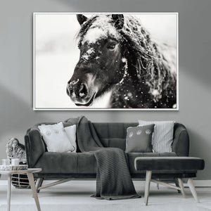 Framed Black and White Horse Wall Art | Ready to Hang and