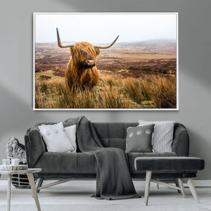 Scottish Highland Cow Canvas Wall Art – Rustic Farmhouse