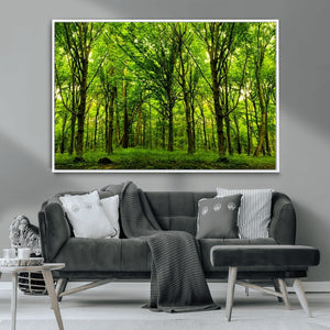 Lush Green Forest Canvas Print | 3-Panel Forest Wall Art |