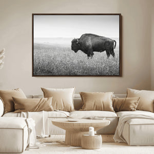 Bison in Prairie Wall Art Canvas Print – Framed Rustic