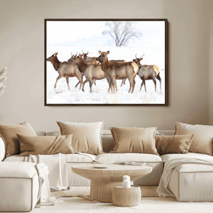 Winter Elk Scene Wall Art Canvas Print – Framed Wildlife