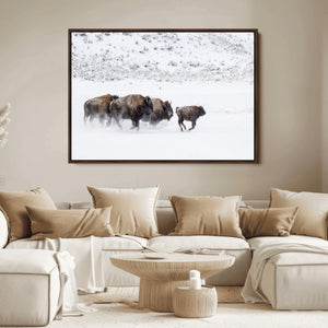 Bison Herd Decor Wall Art Canvas Print – Framed Snowy Bison