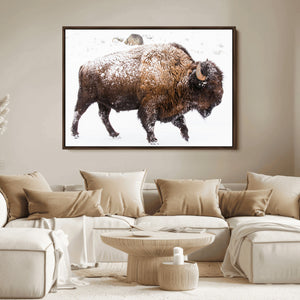 Snowy Buffalo Wall Art Canvas Print – Framed Wildlife