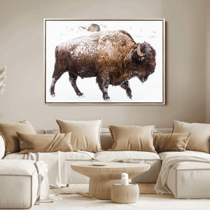 Snowy Buffalo Wall Art Canvas Print – Framed Wildlife