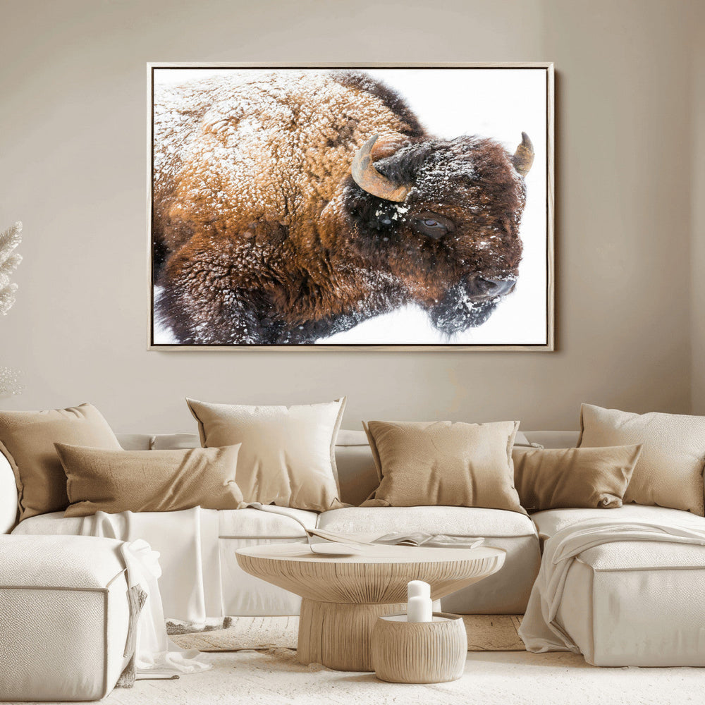 Snowy Buffalo Wall Art Canvas Print – Framed Rustic Lodge