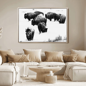 Buffalo Herd Wall Art Canvas Print – Framed Black and White