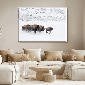 Bison Herd Decor Wall Art Canvas Print – Framed Snowy Bison