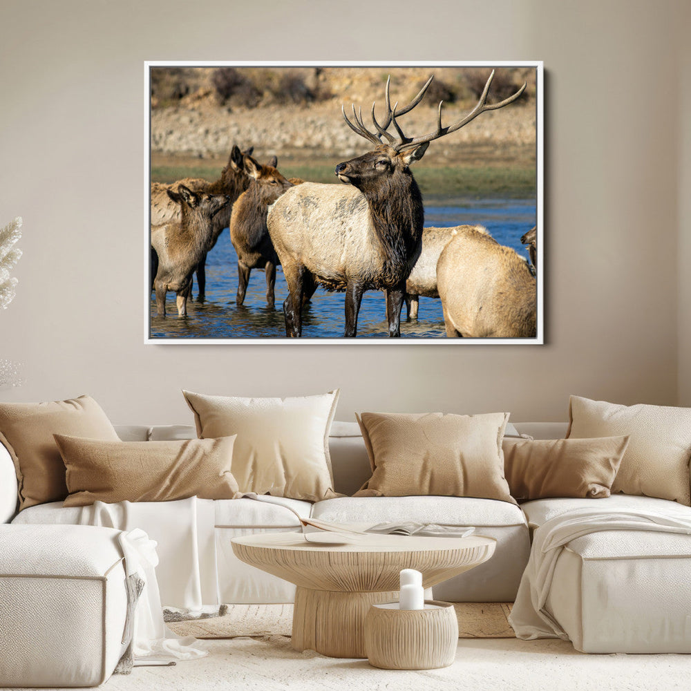 Wild Elk Wall Art Canvas Print – Framed Neutral Wildlife