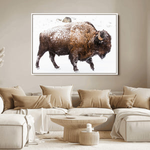 Snowy Buffalo Wall Art Canvas Print – Framed Wildlife