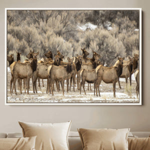 Majestic Elk Herd Winter Canvas, Elk Herd Winter Landscape