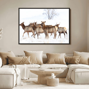 Winter Elk Scene Wall Art Canvas Print – Framed Wildlife