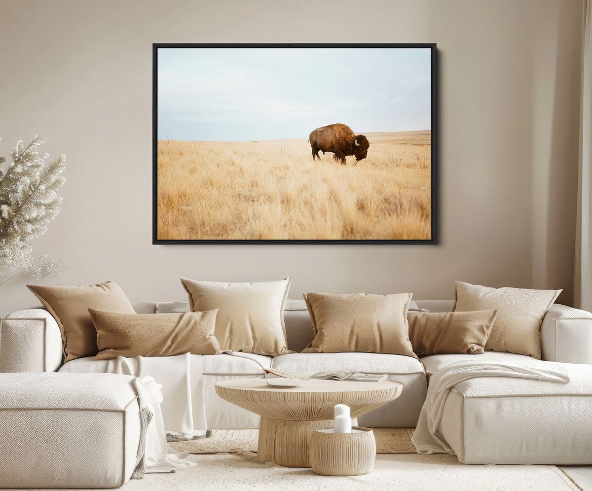 Buffalo Wall Art Canvas Print – Framed Western Wildlife