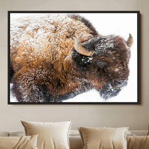 Snowy Buffalo Wall Art Canvas Print – Framed Rustic Lodge