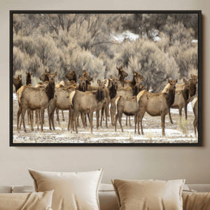 Majestic Elk Herd Winter Canvas, Elk Herd Winter Landscape