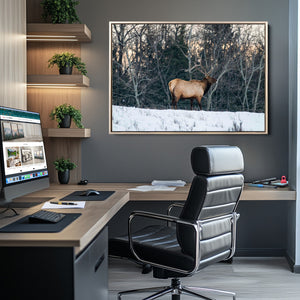Wild Elk Wall Art Canvas Print – Framed Winter Wildlife