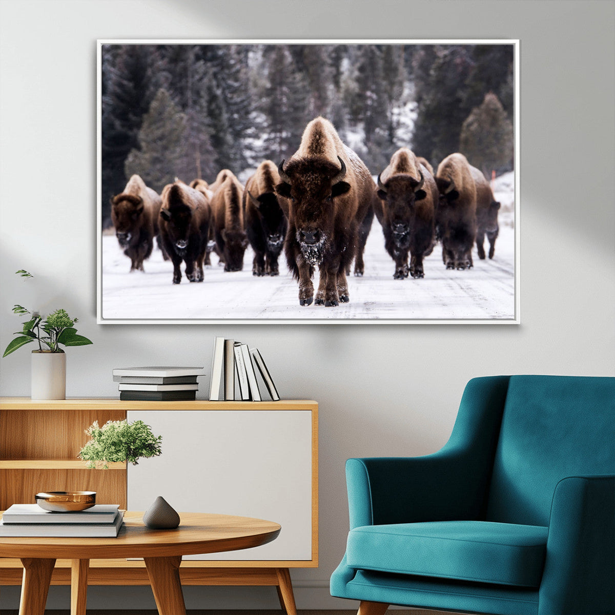 Bison Wall Art Canvas Print- Bison Herd Canvas Wall Art –