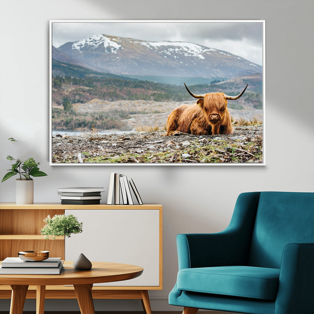 Highland Cow Horn Farm Wall Art Canvas Print