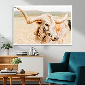 Texas Longhorn Wall Art Canvas Print – Framed Spotted Cow