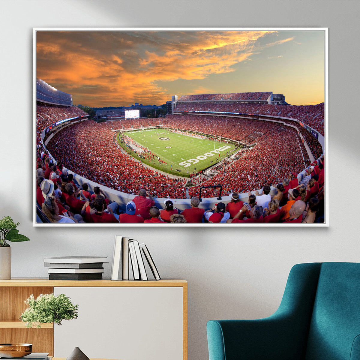 Dooley Stadium Wall Art, Sports Arena Canvas Print, Dooley